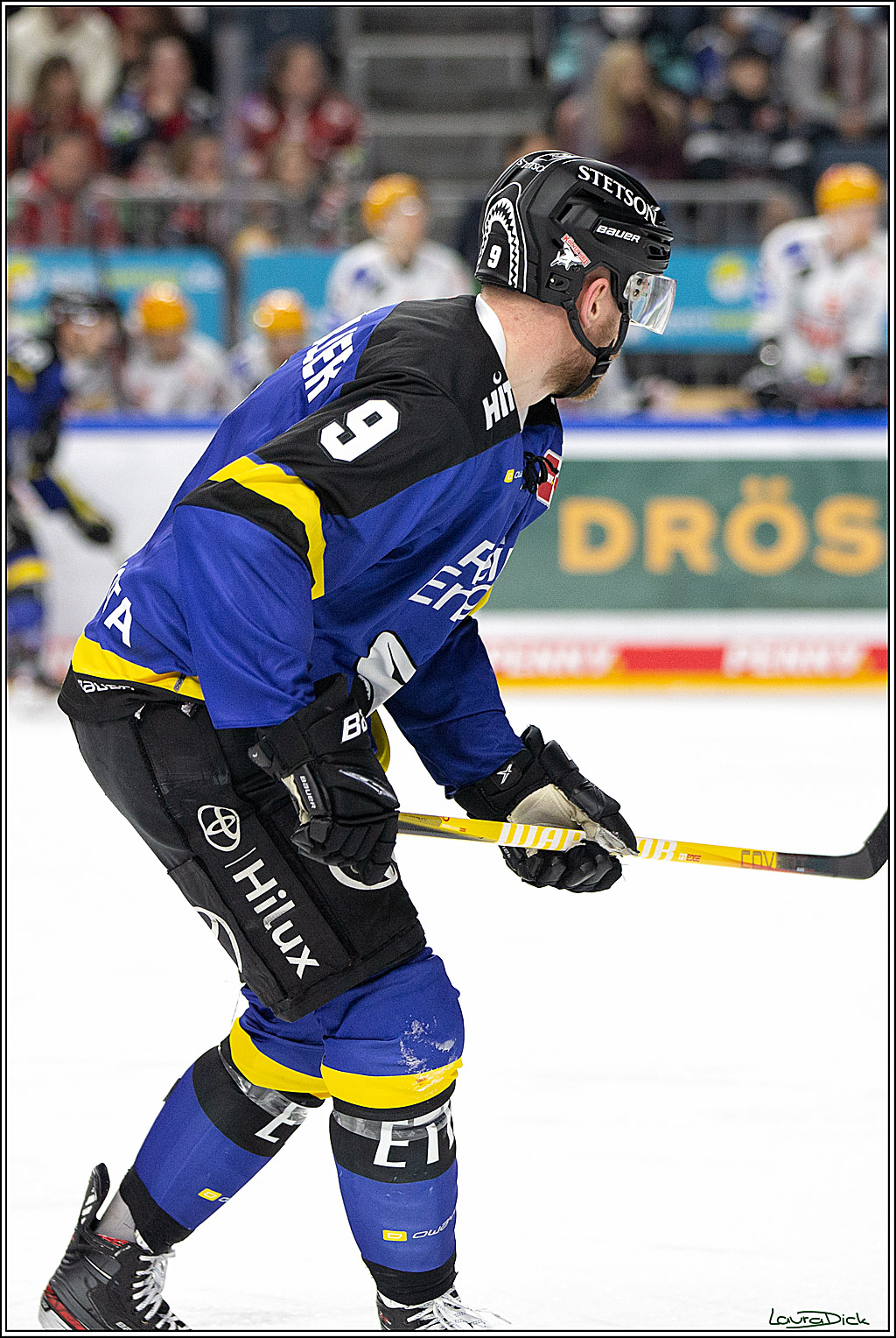 PENNY DEL; Koelner Haie- Fishtown Pinguins Bremerhaven; Koeln, 23.11.2021